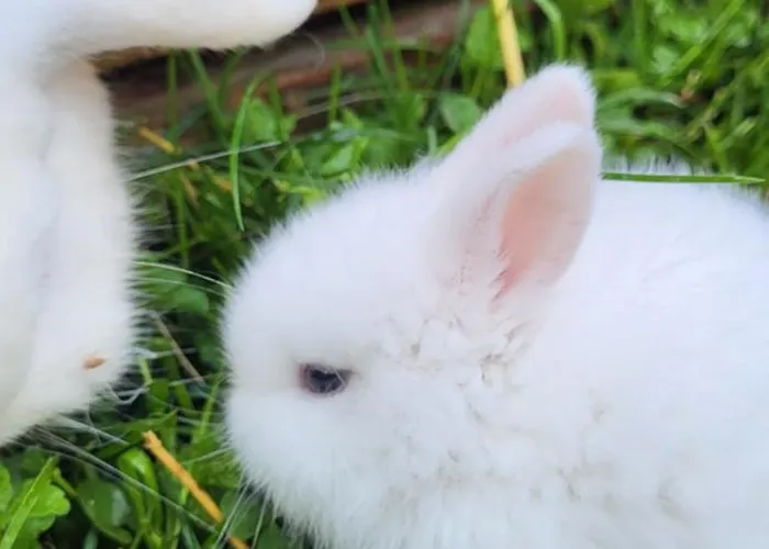 Apartamento D&b Staycation