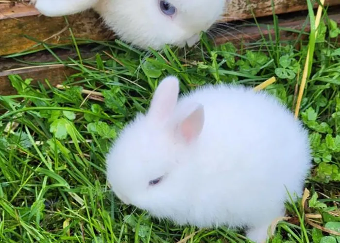 D&b Staycation Apartamento